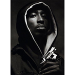 Подарочная книга величайший фотограф Альберт Уотсон The Vienna album Albert Watson варинант исполнения - 2 | Loft Concept в Ижевске