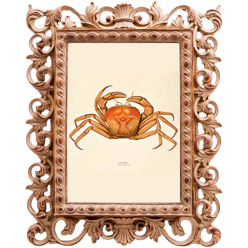 Постер Ocher Crab Poster Бежевый Оранжевый в Ижевске | Loft Concept 