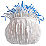 Статуэтка тропический фрукт Tropical Fruit White Blue варинант исполнения - 3 | Loft Concept в Ижевске