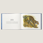 Лимитированная подарочная книга HERMES Fierce and Fragile book, English version варинант исполнения - 3 | Loft Concept в Ижевске