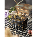 Шкатулка черного цвета с крышкой с фигуркой льва Eden Garden варинант исполнения - 6 | Loft Concept в Ижевске