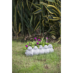 Кашпо Canaries варинант исполнения - 6 | Loft Concept в Ижевске