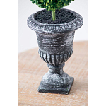 Декоративный искусственное растение Double boxwood варинант исполнения - 7 | Loft Concept в Ижевске