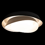 Потолочный светильник круглый черного цвета из металла Vita Cuna варинант исполнения - 1 | Loft Concept в Ижевске