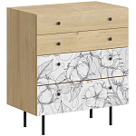 Комод с принтом на ящиках Elise Chest of Drawers варинант исполнения - 14 | Loft Concept в Ижевске