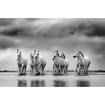 Книга Beusker. Look into my Eyes варинант исполнения - 4 | Loft Concept в Ижевске