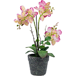 Декоративный искусственное растение Pink orchid варинант исполнения - 5 | Loft Concept в Ижевске