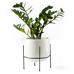 Кашпо из керамики Elevated Planters 32 варинант исполнения - 11 | Loft Concept в Ижевске