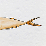 Плитка с узором Рыба Русалка варинант исполнения - 6 | Loft Concept в Ижевске