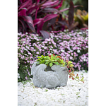 Кашпо A collection of baby rabbits варинант исполнения - 9 | Loft Concept в Ижевске