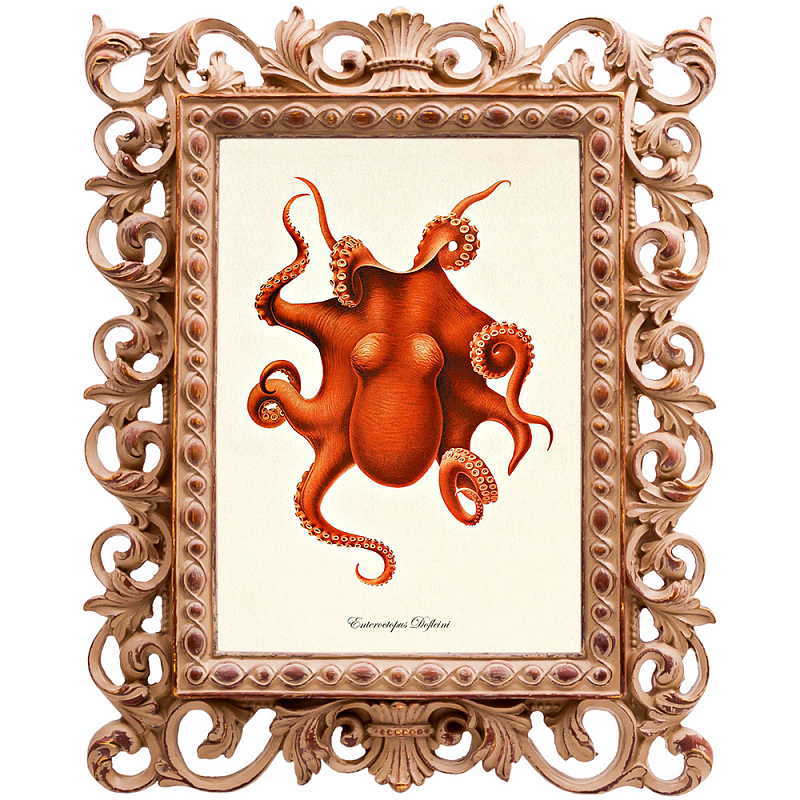 Постер Red Octopus Poster Бежевый Красный в Ижевске | Loft Concept 