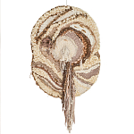 Овальный Современный Гобелен Абстракция в бежевых тонах Shallow варинант исполнения - 7 | Loft Concept в Ижевске