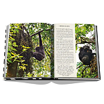 Подарочнный коллекционный фото альбом AFRICAN ADVENTURES NEW 2023 ASSOULINE HC UNBELIEVABLE ILLUSTRATIONS Safari варинант исполнения - 8 | Loft Concept в Ижевске
