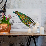 Постер на холсте с изображением павлина на ветке Majestic Peacock on a Tree Poster варинант исполнения - 2 | Loft Concept в Ижевске