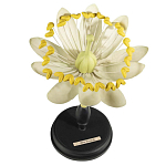 Статуэтка Tilia варинант исполнения - 1 | Loft Concept в Ижевске