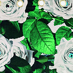 Штора Seletti Roses варинант исполнения - 1 | Loft Concept в Ижевске