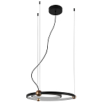 Люстра подвесная светодиодная черный металл Ring Horizontal варинант исполнения - 2 | Loft Concept в Ижевске