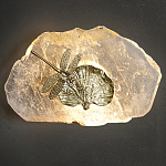 Бра Декоративный лист с стрекозой Glacial Fragment варинант исполнения - 2 | Loft Concept в Ижевске