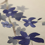 Обои ручная роспись Cherry Tree Original colourway on Stone Ochre dyed silk варинант исполнения - 3 | Loft Concept в Ижевске