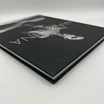 Коллекционная редкая книга Madonna: Nudes + by Martin H.M. Schreiber 2017 Букинистика варинант исполнения - 4 | Loft Concept в Ижевске