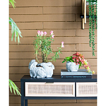 Кашпо A collection of baby rabbits варинант исполнения - 5 | Loft Concept в Ижевске