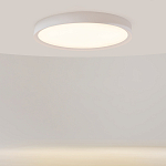 Потолочный светильник Incognito 2700-4000К 46Вт варинант исполнения - 2 | Loft Concept в Ижевске