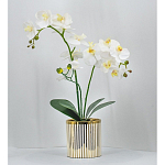 Декоративный искусственное растение Lush Orchid варинант исполнения - 2 | Loft Concept в Ижевске