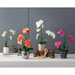 Декоративный искусственное растение Pink orchid варинант исполнения - 11 | Loft Concept в Ижевске