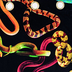 Штора Seletti Snakes Black варинант исполнения - 1 | Loft Concept в Ижевске