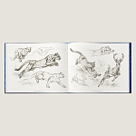 Лимитированная подарочная книга HERMES Fierce and Fragile book, English version варинант исполнения - 4 | Loft Concept в Ижевске