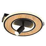 Потолочный светильник круглый GAVIN WOOD варинант исполнения - 1 | Loft Concept в Ижевске