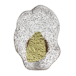 Бра с рельефным волнообразным стеклянным плафоном и вставкой из мрамора Liquid Stone варинант исполнения - 1 | Loft Concept в Ижевске