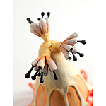 Статуэтка тропический фрукт Pandora Tropical Fruit Orange варинант исполнения - 3 | Loft Concept в Ижевске