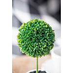 Декоративный искусственное растение Boxwood One варинант исполнения - 8 | Loft Concept в Ижевске