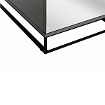 Двухдверный шкаф с зеркальными дверцами Strict Lines варинант исполнения - 4 | Loft Concept в Ижевске