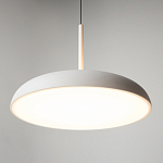 Подвесной светильник Gerhard 3000К 39Вт варинант исполнения - 10 | Loft Concept в Ижевске