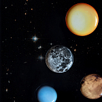 Блюдо Seletti Sun варинант исполнения - 6 | Loft Concept в Ижевске