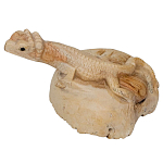 Статуэтка из дерева ящерица Animals of the World варинант исполнения - 2 | Loft Concept в Ижевске