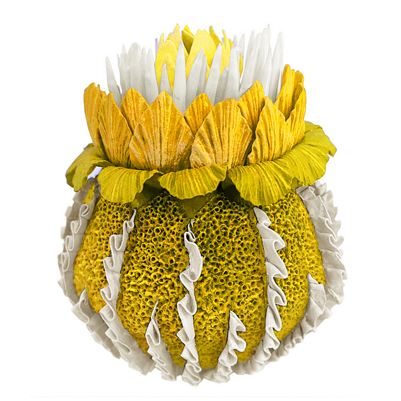 Желтый Экзотический фрукт Yellow Pandora Exotic Fruit 44 Желтый Желтый Экзотический фрукт Yellow Pandora Exotic Fruit 44 Желтый в Ижевске | Loft Concept