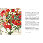 Прекрасно иллюстрированная книга более 100 ботанических произведений Plant Hunters Atlas варинант исполнения - 5 | Loft Concept в Ижевске