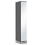 Шкаф-пенал с зеркальной дверцей и фасадом цвета графит Strict Lines варинант исполнения - 2 | Loft Concept в Ижевске