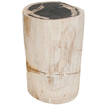 Стул из окаменелого дерева Petrified Wood варинант исполнения - 1 | Loft Concept в Ижевске