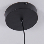 Люстра подвесная светодиодная черный металл Ring Horizontal варинант исполнения - 6 | Loft Concept в Ижевске