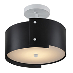 Потолочный светильник круглый светодиодный Semicircular White Panels чёрный варинант исполнения - 2 | Loft Concept в Ижевске