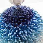 Статуэтка Синий тропический фрукт Tropical Fruit Pandora 4 варинант исполнения - 1 | Loft Concept в Ижевске