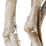 Люстра круглая в виде веток деревьев Natural Driftwood варинант исполнения - 3 | Loft Concept в Ижевске