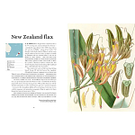 Прекрасно иллюстрированная книга более 100 ботанических произведений Plant Hunters Atlas варинант исполнения - 3 | Loft Concept в Ижевске