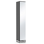 Шкаф-пенал с зеркальной дверцей и фасадом цвета графит Strict Lines варинант исполнения - 1 | Loft Concept в Ижевске