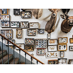 Книга Extraordinary Collections: French Interiors варинант исполнения - 11 | Loft Concept в Ижевске