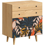 Комод с принтом на ящиках Elise Chest of Drawers варинант исполнения - 2 | Loft Concept в Ижевске